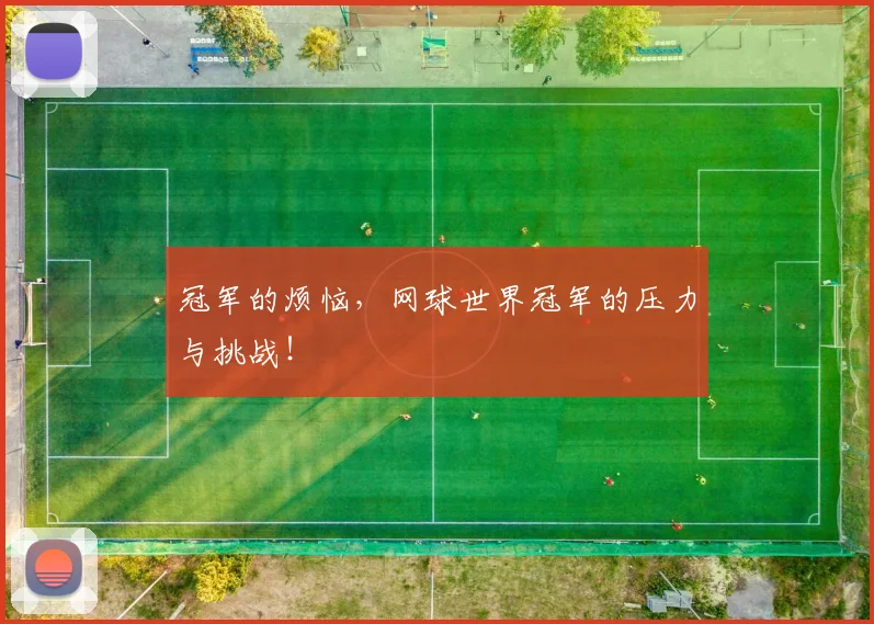 冠军的烦恼,网球世界冠军的压力与挑战!