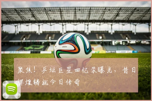 聚焦!乒坛巨星回忆录曝光,昔日辉煌铸就今日传奇