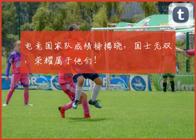 电竞国家队成绩榜揭晓,国士无双,荣耀属于他们!
