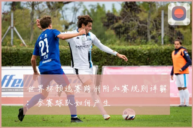 世界杯预选赛跨洲附加赛规则详解:参赛球队如何产生