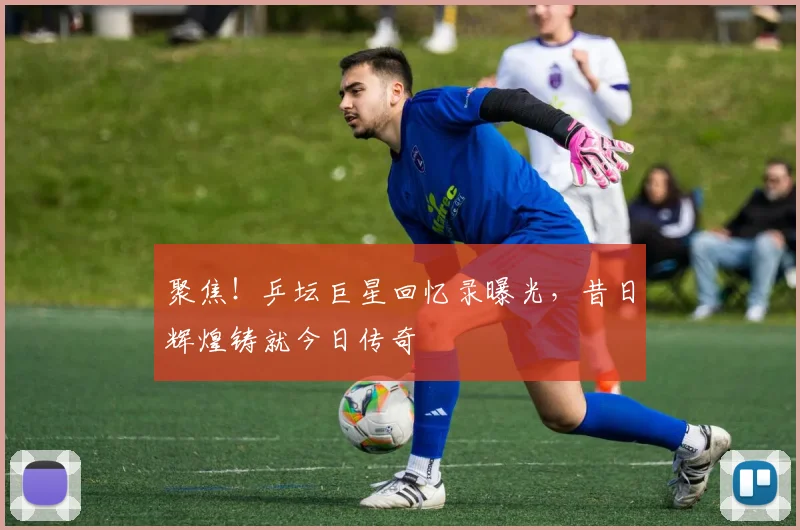 聚焦!乒坛巨星回忆录曝光,昔日辉煌铸就今日传奇