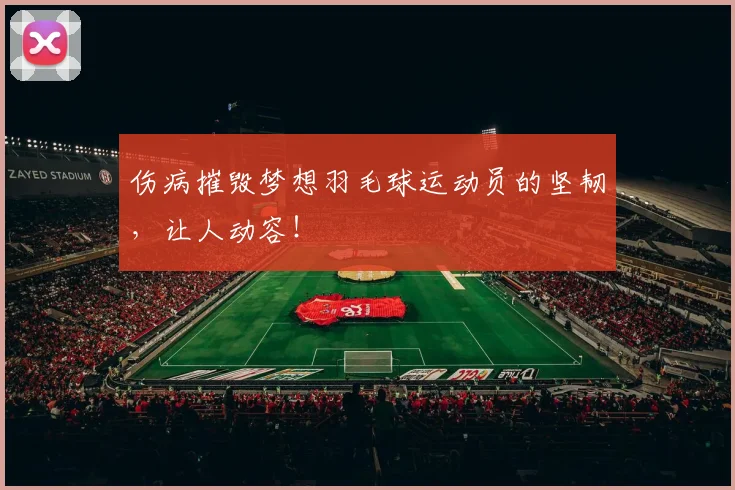 伤病摧毁梦想羽毛球运动员的坚韧，让人动容！