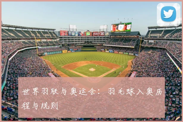 世界羽联与奥运会:羽毛球入奥历程与规则