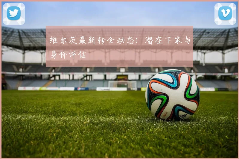 维尔茨最新转会动态：潜在下家与身价评估