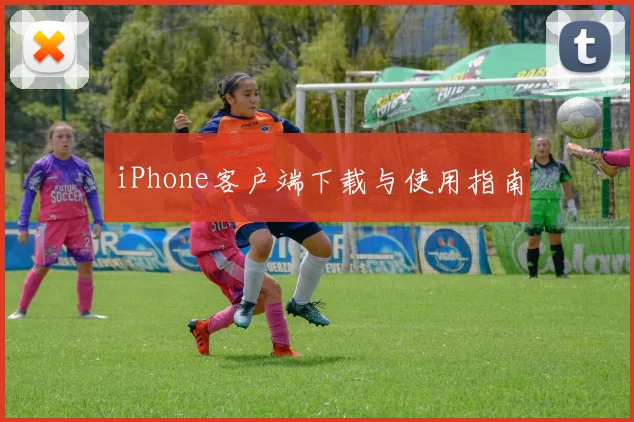iPhone客户端下载与使用指南
