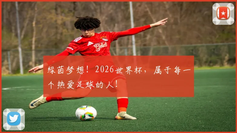 绿茵梦想！2026世界杯，属于每一个热爱足球的人！