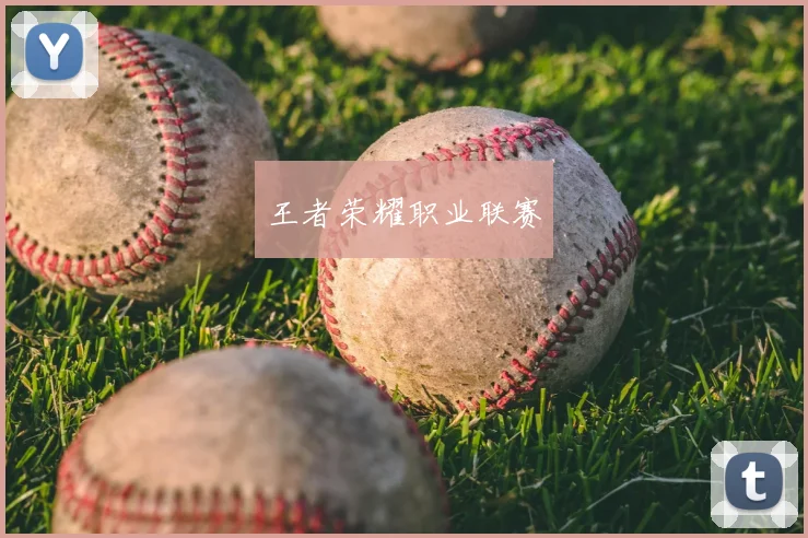 王者荣耀职业联赛