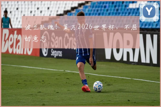 波兰队魂!莱万2026世界杯,不屈的意志